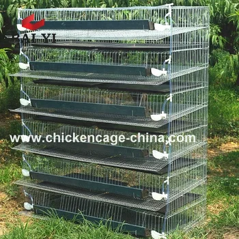 Good Price Used Quail Cages And Equipment For Sales - Buy Used Quail