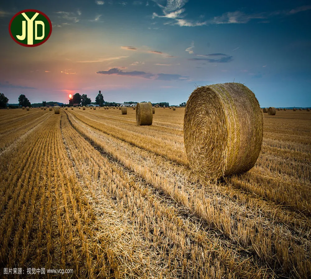 
Машина для производства туалетной бумаги из целлюлозы 