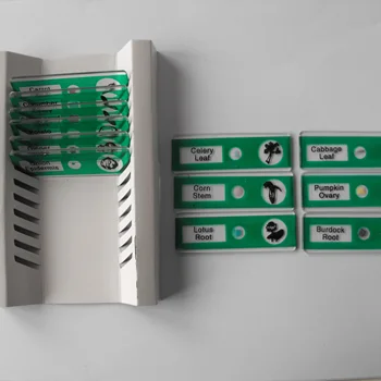 プラスチック動物顕微鏡用標本スライド 12種類の動物スライド| Alibaba.com