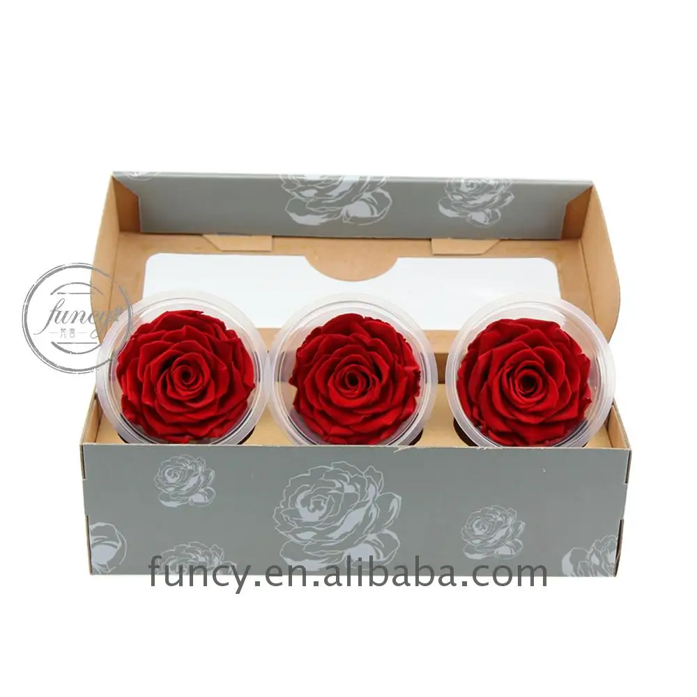 Details about   Preserved Roses in Box   Scarlet Red Eternity Roses 8pcs in box  6-7cm 
