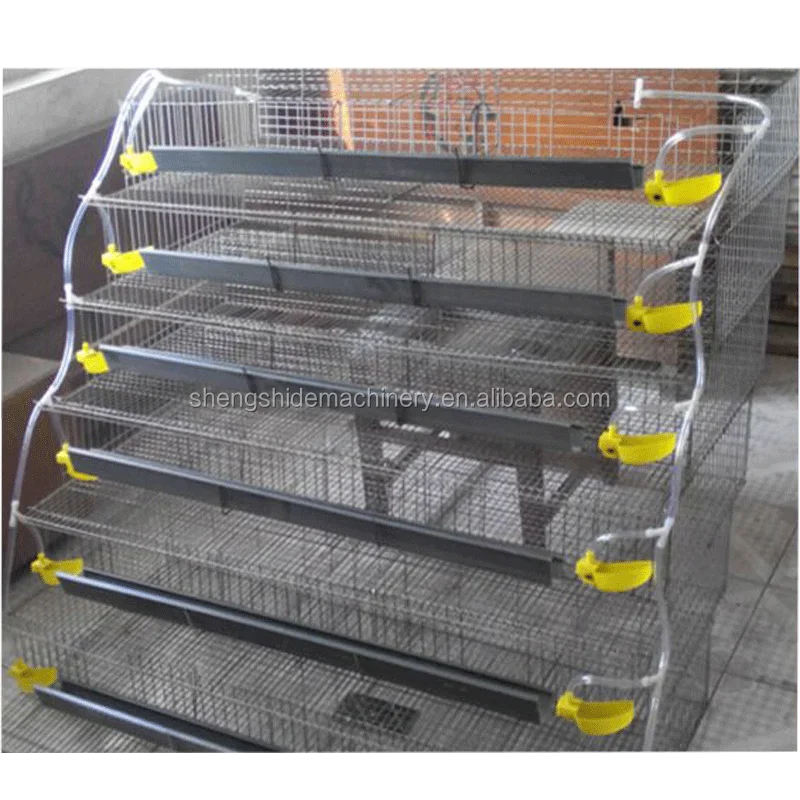 Commercial Quail Layer Cage And Equipment For Sale Philippines - Buy