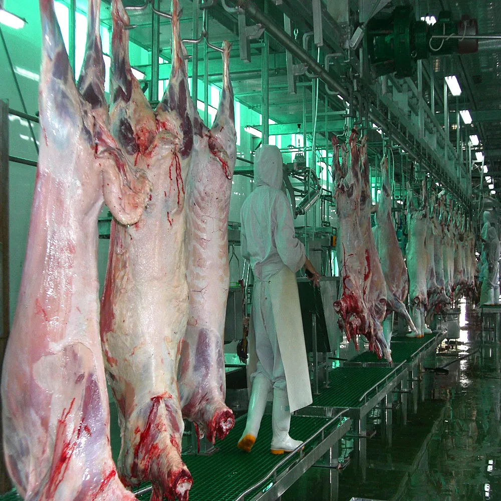 Turnkey Project Sheep Slaughter Line Halal Slaughter Machine Goat and Lamb Slaughterhouse Equipment