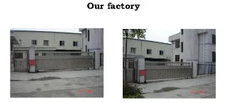 CHAO CHING WOODS CORP. 1