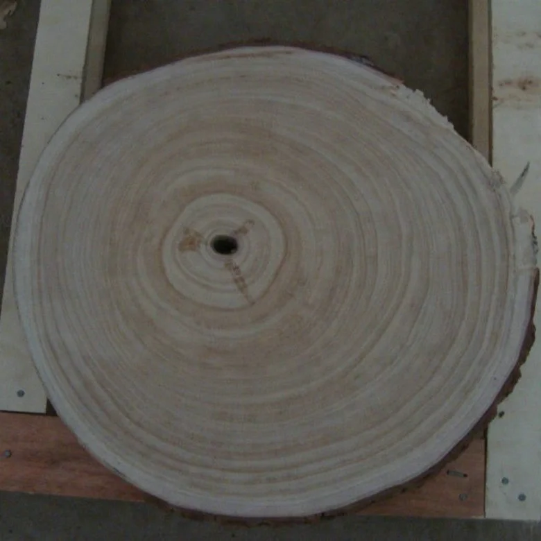 Pao Tong Log Cut Paulownia Trunk Cut Slice with Clearly Rings for Reference