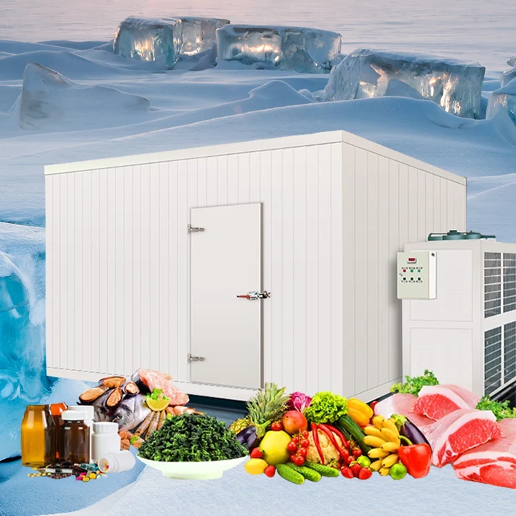 Изготовление морозильной камеры. Холодильная камера для овощей 200м2. Холодильная камера для овощей 30мкв. Агрегат для холодильной камеры морозилка. Система холодильный агрегат - морозилка.