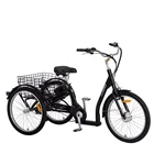 Wheel Electric Tricycle Shopping Adult Electric Bikes 7 Speeds 3 200 - 250W CN ZHE 1950*810*1150mm Cargo Open 36V Ce