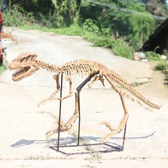 Jurassic Museum Park Dinosaur Fossil Display Figur Modell Skeleton D81to86
