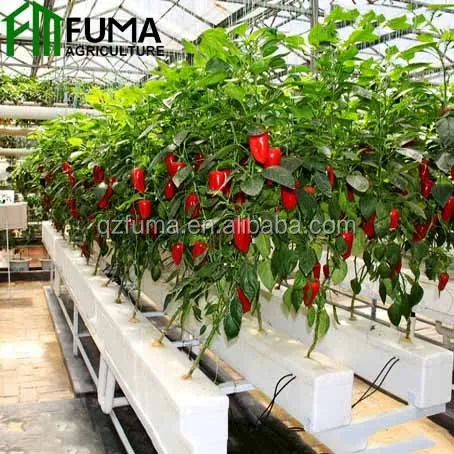 FM low cost commercial greenhouse flood and drain hydroponic growing systems for sale