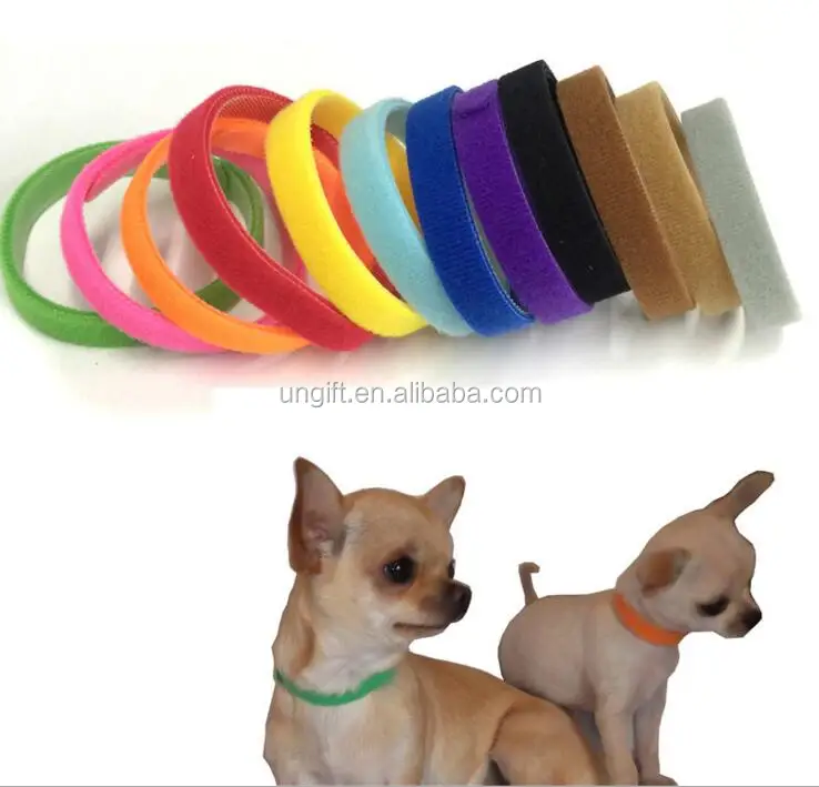 id collars for dogs