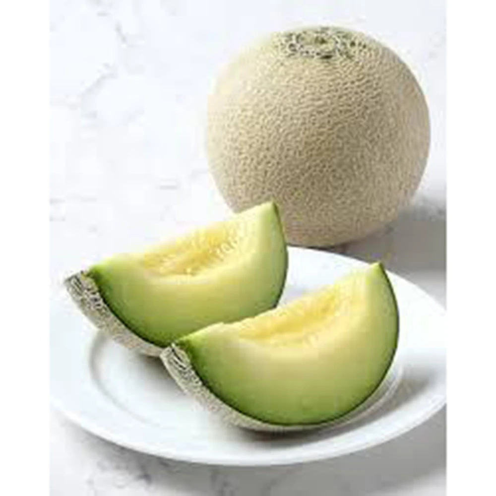 Wholesale Japanese Sweet Fruit Big Melons For Export Mit Attraktive Preis Buy Sweet Fruit Japanese Fruit Wholesale Fruit Product On Alibaba Com