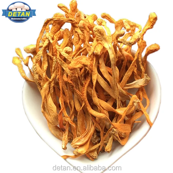 Детан сушеный гусеничный гриб