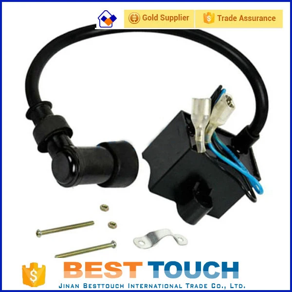 Silver 2-Stroke 48Cc 49Cc 50Cc 60Cc 66Cc 80Cc Small Engine Efi Kit