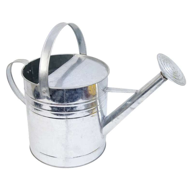 Details about   10 Litre Metal Watering Can 