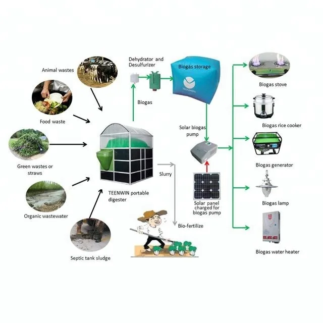 Teenwin 15m3 Portable Biogas Assembled Plant for Pig / Cow / Chicken Farm