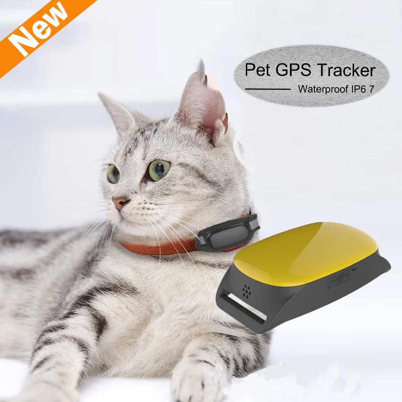 防水迷你宠物gps 跟踪猫领狗gps 跟踪器 宠物跟踪器 Buy 宠物跟踪器 迷你gps 跟踪器猫 小防水gps 宠物跟踪器product On Alibaba Com