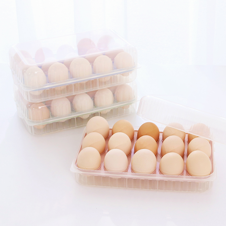 Пластиковый лоток для яиц на 10 ячеек