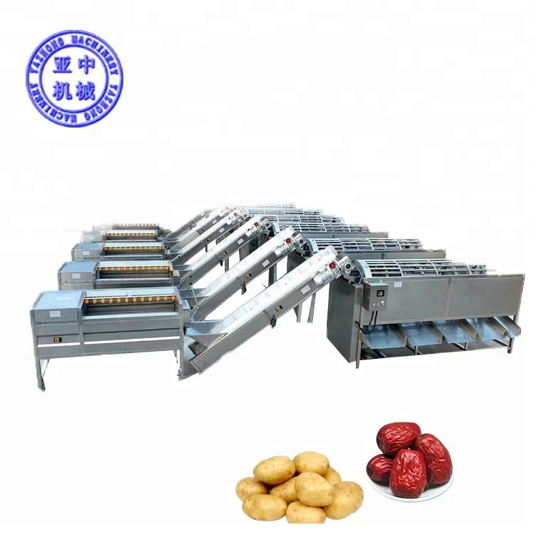 French Fries Processing Equipment Potato Sorting Machine