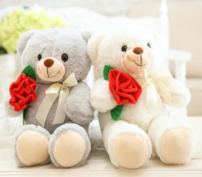 Confidently Recommend Lovely Cute Teddy 