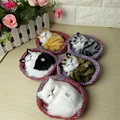 2016 New Design Kawaii Simulation Sounding Sleeping Cats Plush Toy With Nest Children s Favorite Birthday