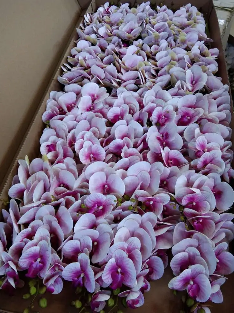 Fc4001 9 Heads Real Touch Latex Flowers Artificial White Orchids For