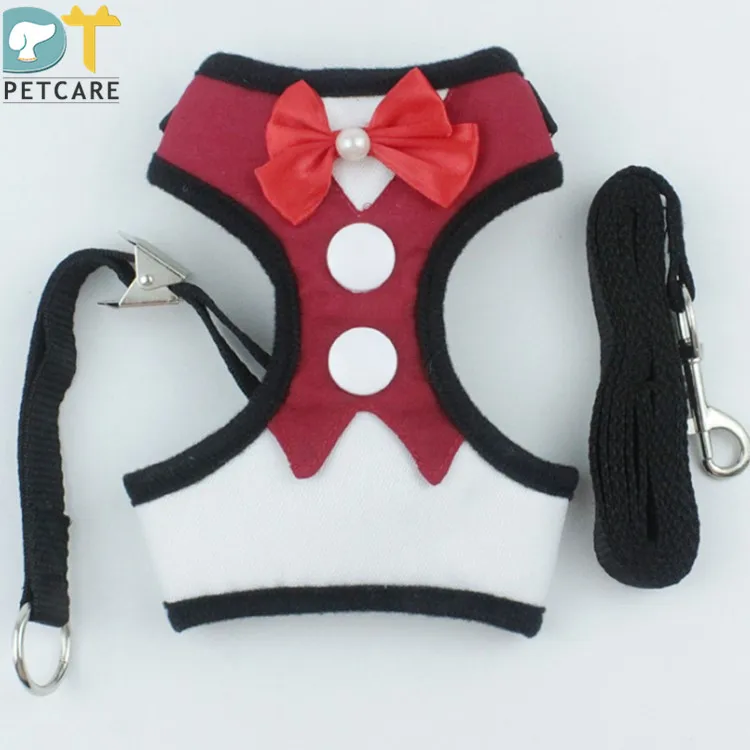 boy dog harness