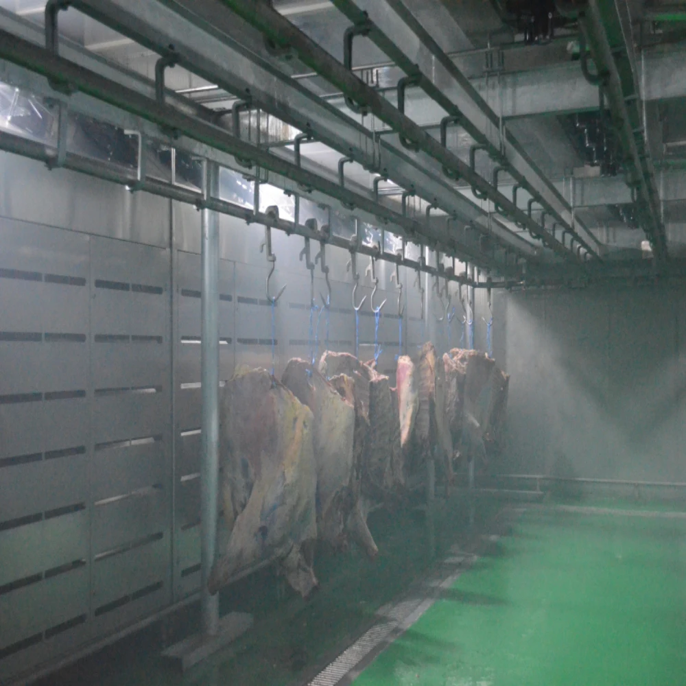 Chicken thawing chamber for defrosting machine frozen meat microwave thawing machine equipment