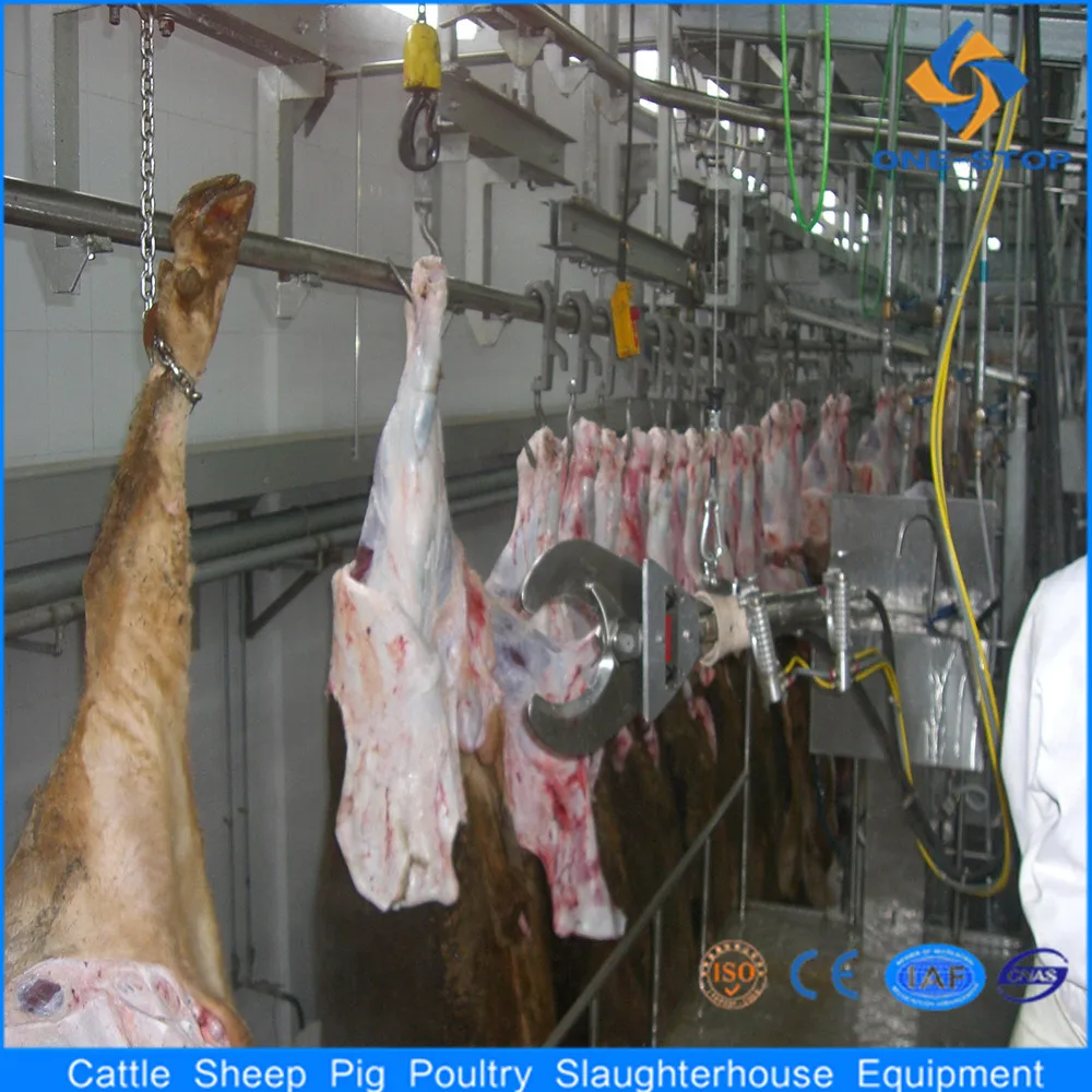 Cow beef abattoir processing horn and hoof removal scissors