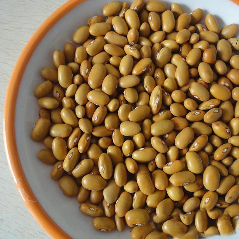 Yellow Kidney Beans