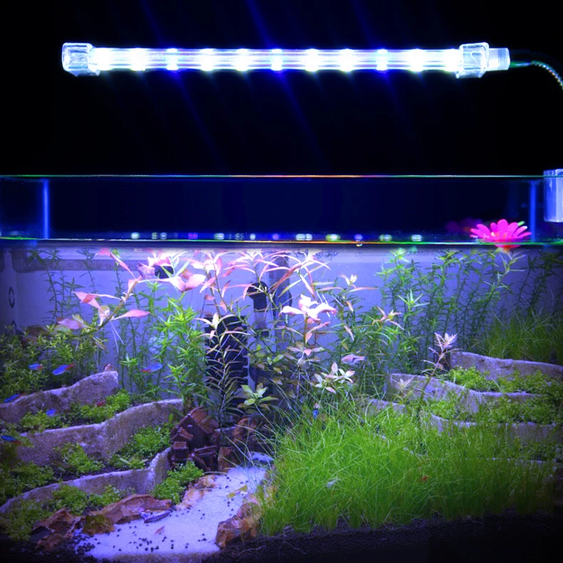 bank Wizard Tegenslag Aquarium Clip Led Light Fish Tank Blue Color Clip Lamp For Aquatic Live  Plants - Buy Aquarium Clip Led,Aquarium Clip Light,Fish Tank Clip Lamp  Product on Alibaba.com