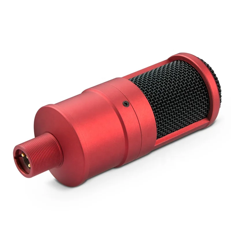 New Model PR200 Professional Wired Computer PC Studio Microphone Condenser Recording for Singing Room Broadcasting YouTube