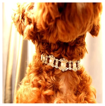 World's Most Expensive Diamond Dog Collar