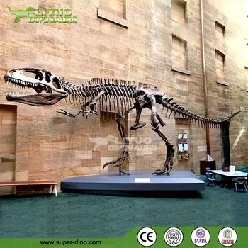 ギガノトサウルス Giganotosaurus fossil 化石 恐竜 ギガノトサウルス - Wikiwand