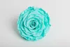 Tiffany BLUE