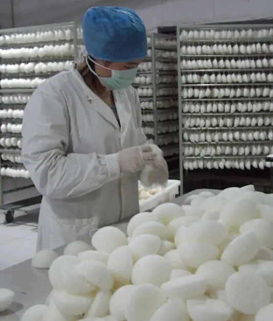 
 Оптовая продажа 2021, лидер продаж, спонж для мытья ванны, уход за кожей, фирменная этикетка, новая Экологически чистая Органическая биоразлагаемая Коньячная губка  