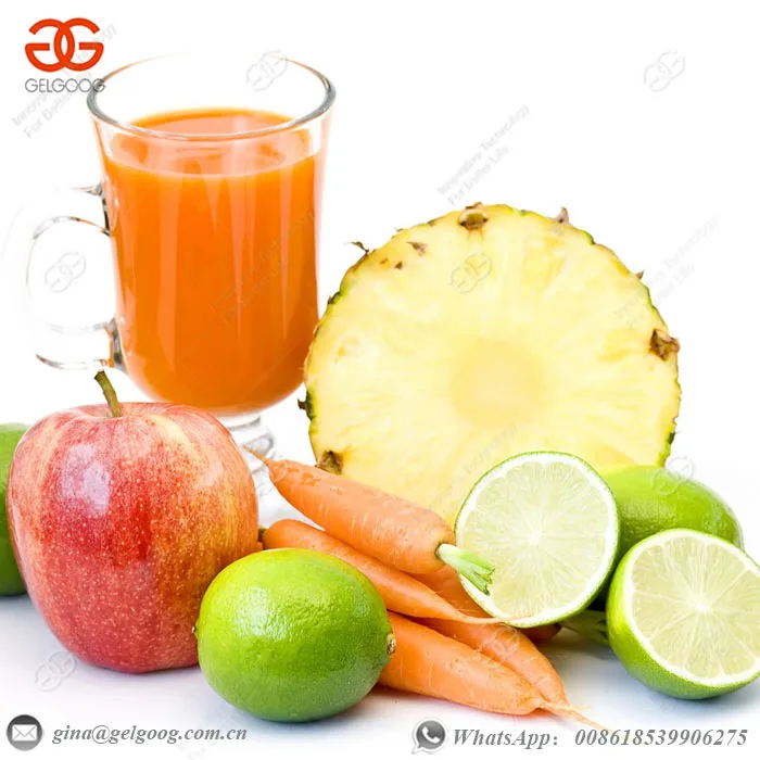Commercial Fresh Fruit Juice Making Machine South Africa