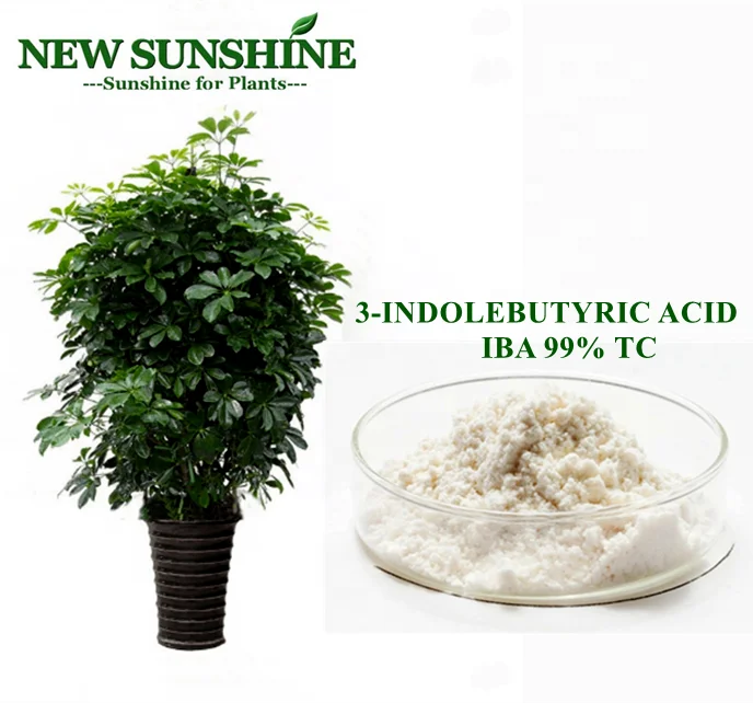 IBA 99% TC индол 3 масляная кислота цена CAS