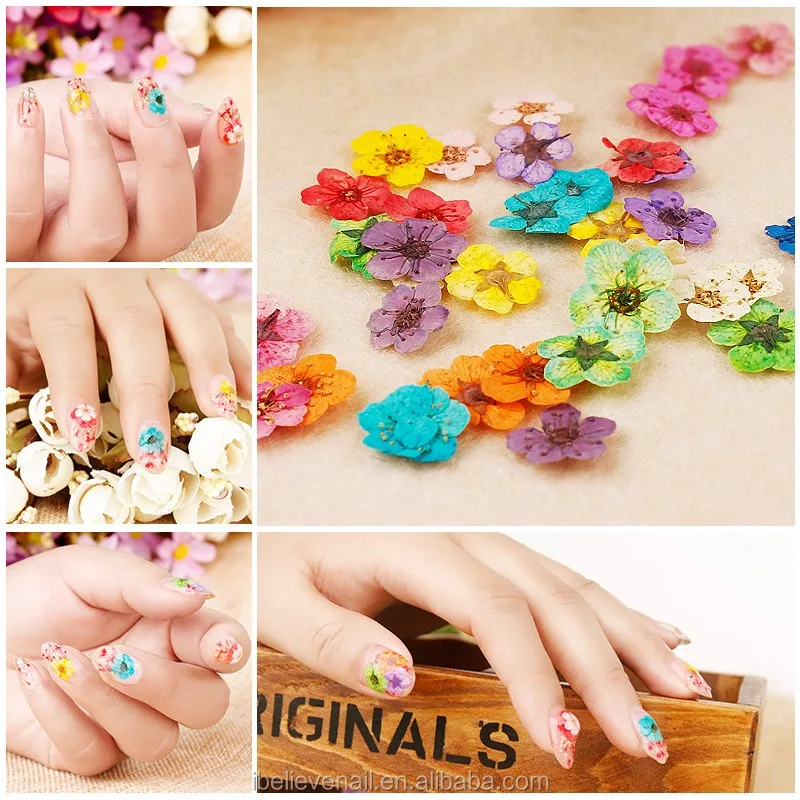 Новый стиль 12 видов цветов украшения прессованные натуральные