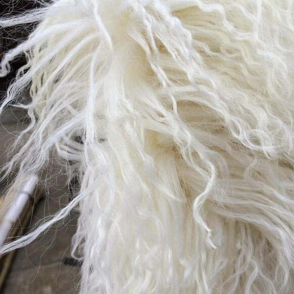 curly lamb fur