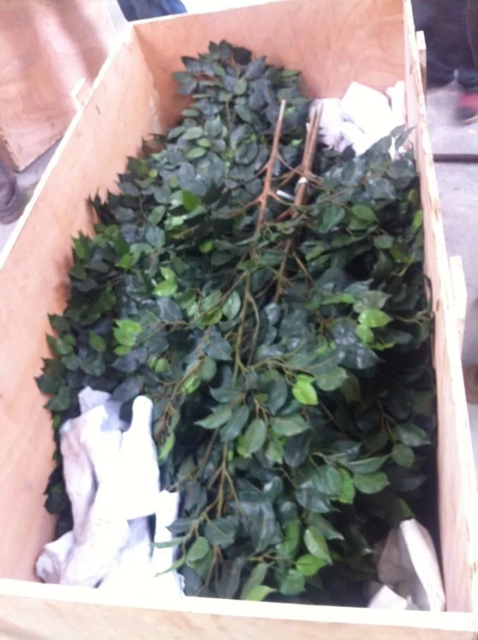 product-1-1 product-1-1