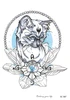SC-587