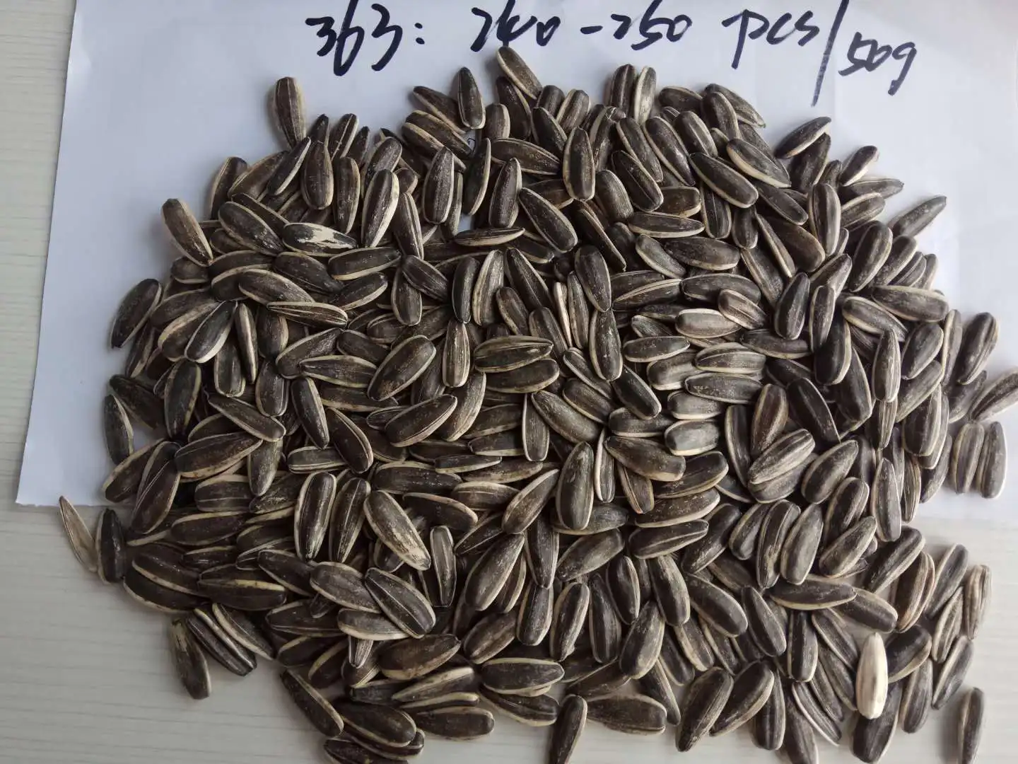 Wholesale Organic Sunflower Seed Market Price Sunflower Seed Price Per