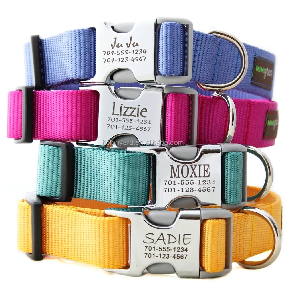 decorative dog collars