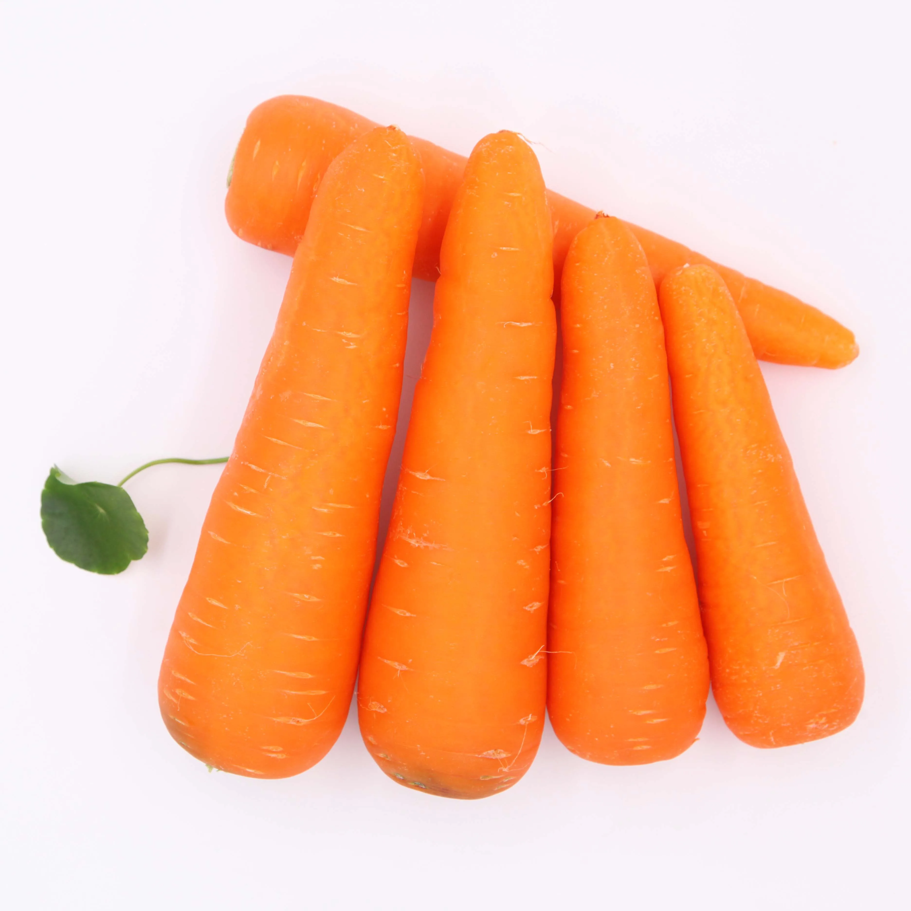 Купить морковь оптом. Морковь нарезанная. Морковь КНР. Китайская морковка. Этикетка на морковь свежую.