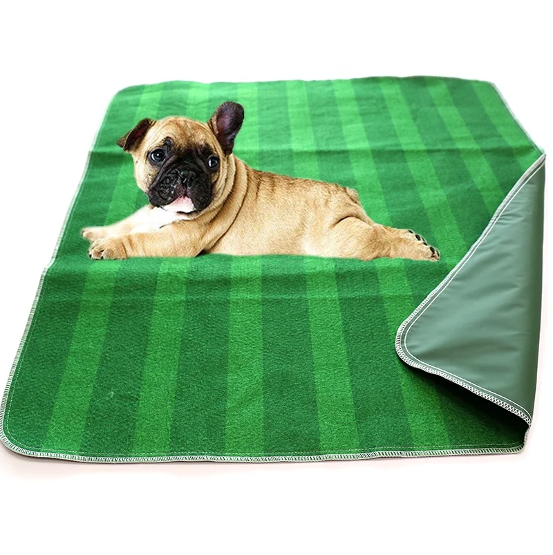 potty training mats