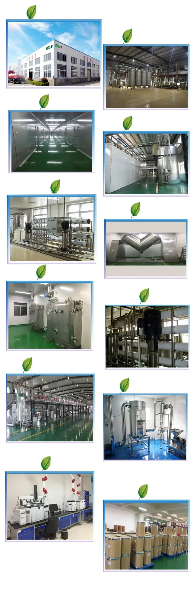 99% καθαρότητα Καρβονικό ασβέστιο λευκή σκόνη CAS 471-34-1 5