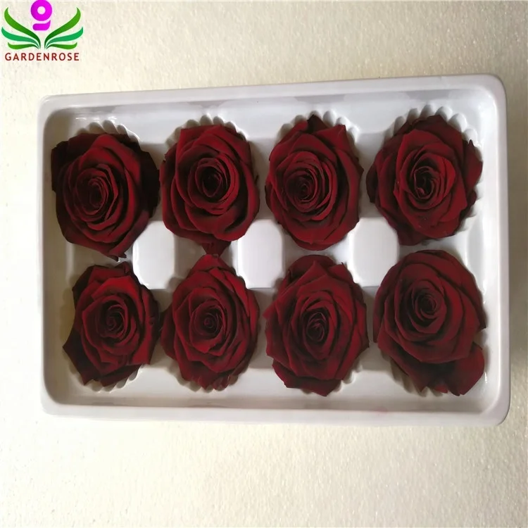 Wine Red Color Eternal Roses 4 5 Cm Preserved Flowers Dark Red From Kunming Buy Real Preserved Flowers Eternal Roses From Kunming 4 5 Cm Rose Wine Red Color Product On Alibaba Com