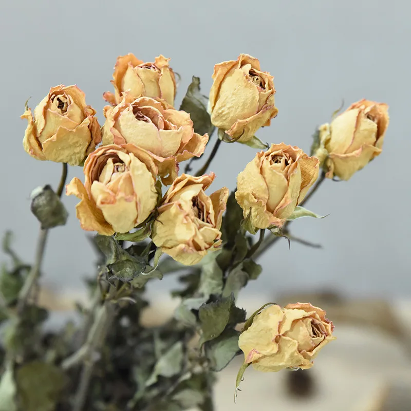 
Свадебное Рождественское украшение для помещений Европейский стиль естественные на ощупь маленькие сушеные розы цветы Букеты 