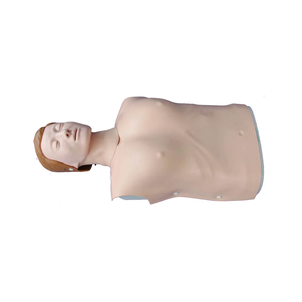 Ltm404c Female Half Body Cpr Medical Training Manikin Buy Female Medical Training Manikin Medical Female Half Body Cpr Training Manikin Cheap Half Body Cpr Training Manikin For Male Product On Alibaba Com