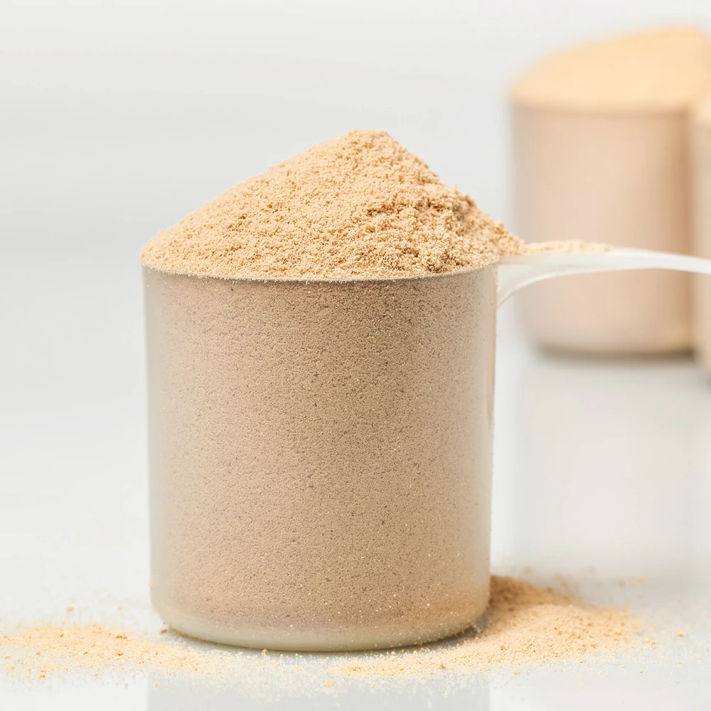 Whey Protein Powder