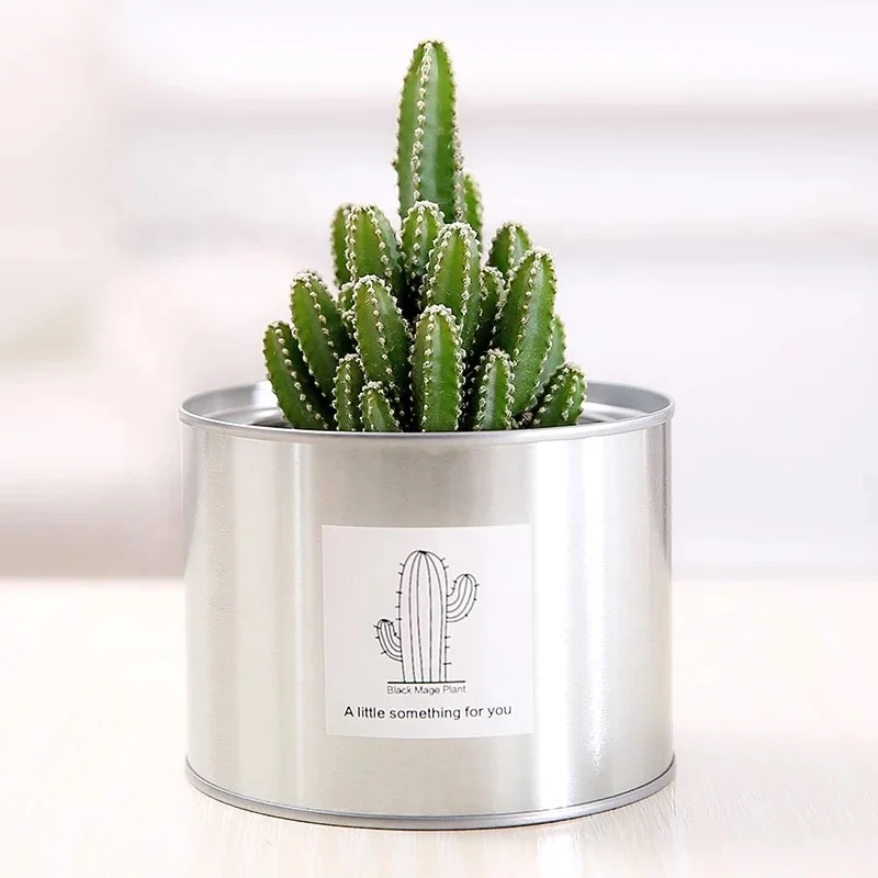 Wholesale Custom Empty Desktop Steel Small Metal Mini Metal Plant Cactus Pot